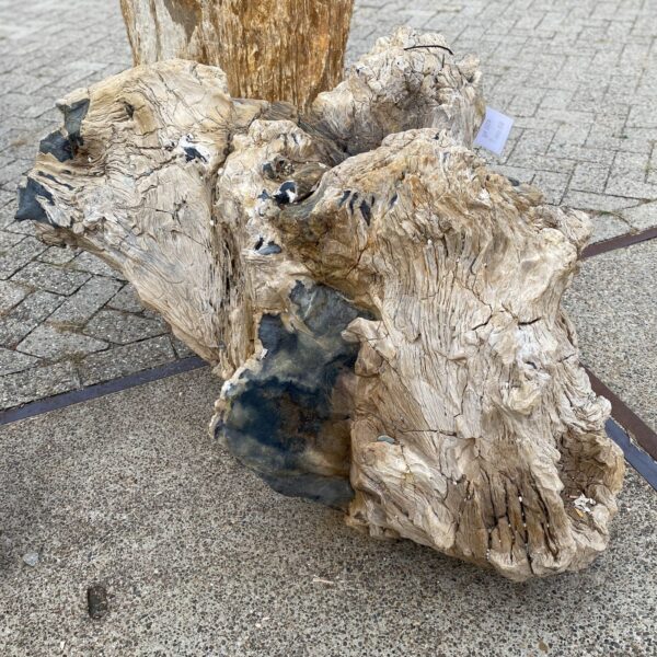 Memorial stone petrified wood 56049