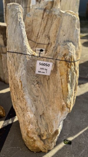 Memorial stone petrified wood 56050