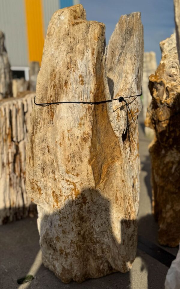 Memorial stone petrified wood 56050