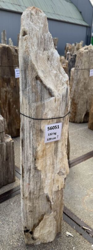 Memorial stone petrified wood 56051