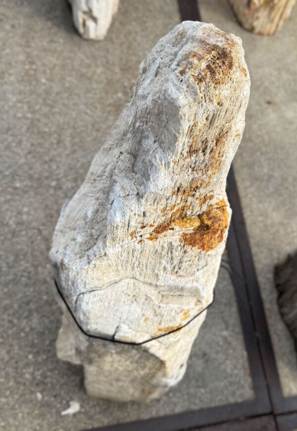 Memorial stone petrified wood 56051