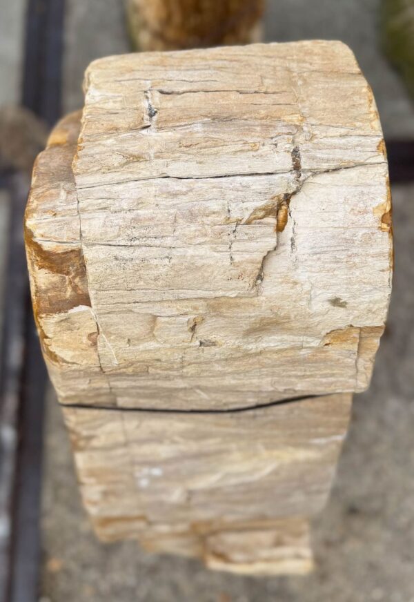 Memorial stone petrified wood 56055