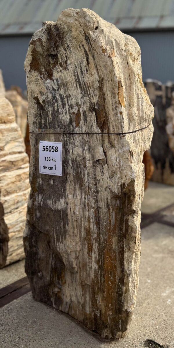 Memorial stone petrified wood 56058