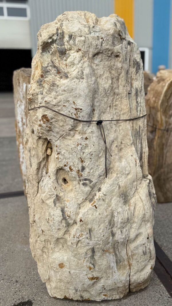 Memorial stone petrified wood 56058