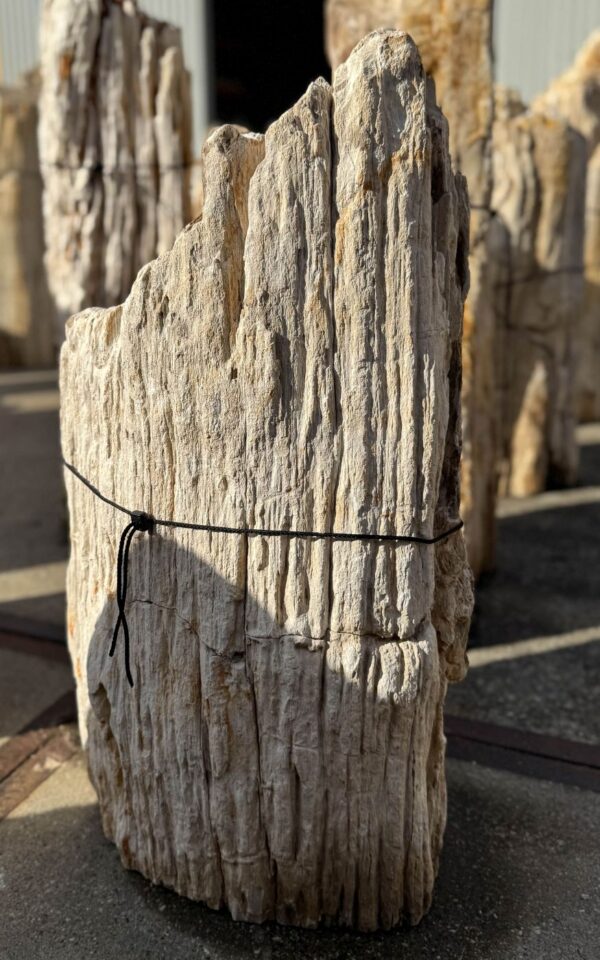 Memorial stone petrified wood 56059