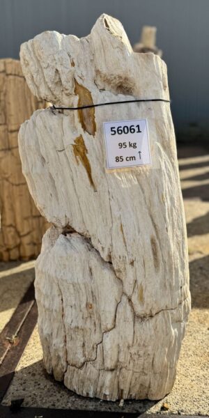 Memorial stone petrified wood 56061