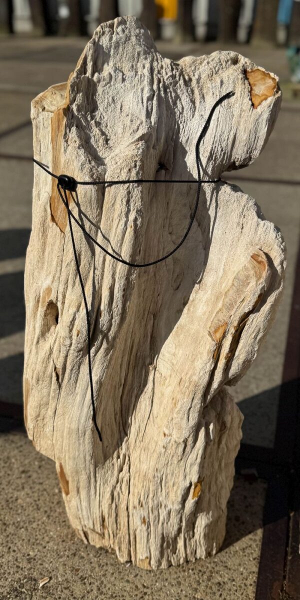 Memorial stone petrified wood 56061