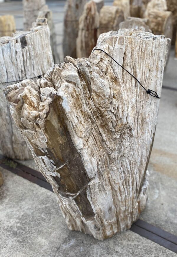 Memorial stone petrified wood 56068