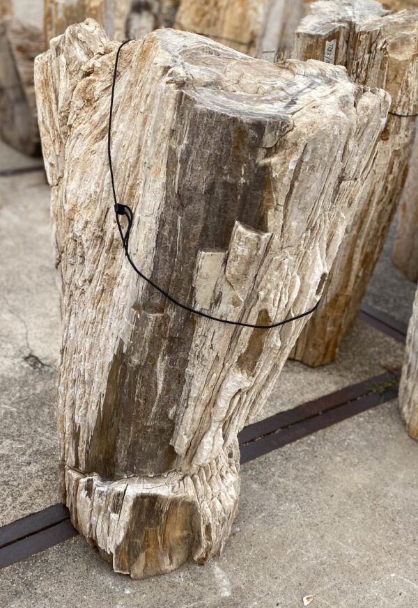 Memorial stone petrified wood 56068