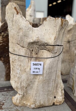 Memorial stone petrified wood 56074