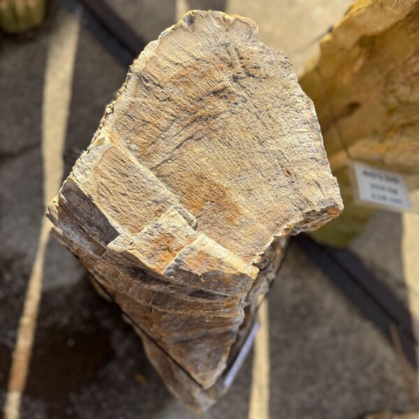 Memorial stone petrified wood 56078