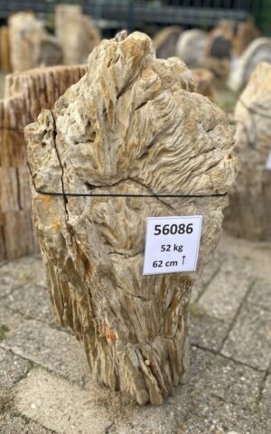 Memorial stone petrified wood 56086