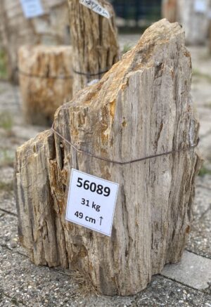 Memorial stone petrified wood 56089