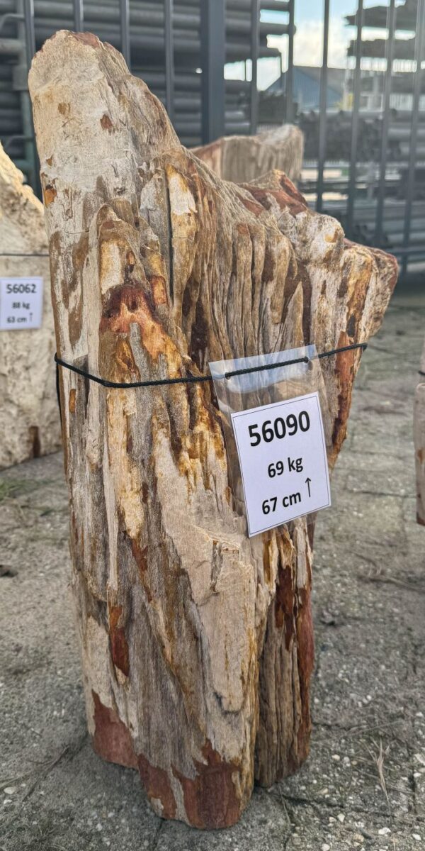 Memorial stone petrified wood 56090