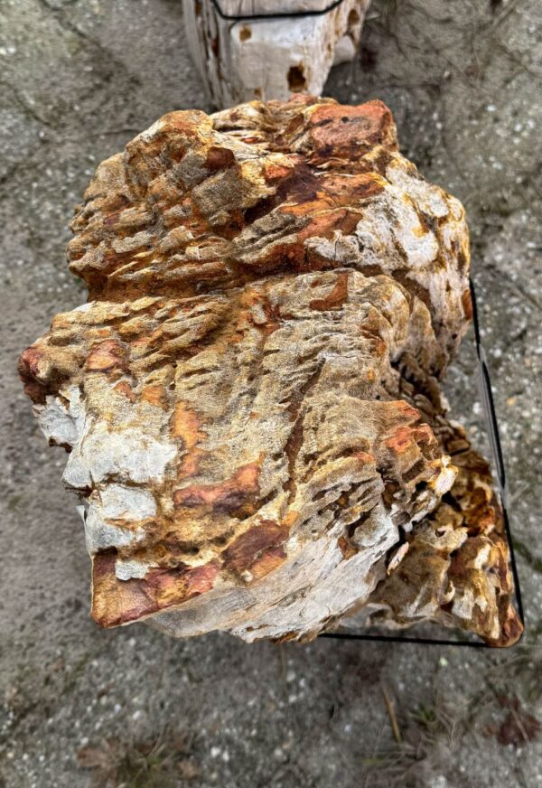 Memorial stone petrified wood 56090