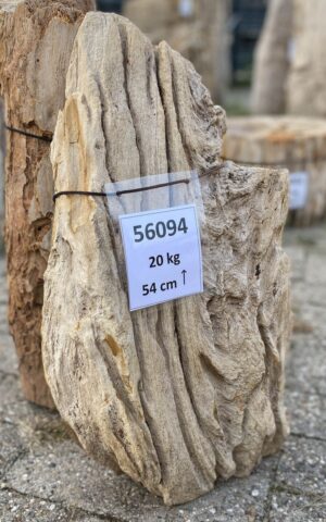 Memorial stone petrified wood 56094