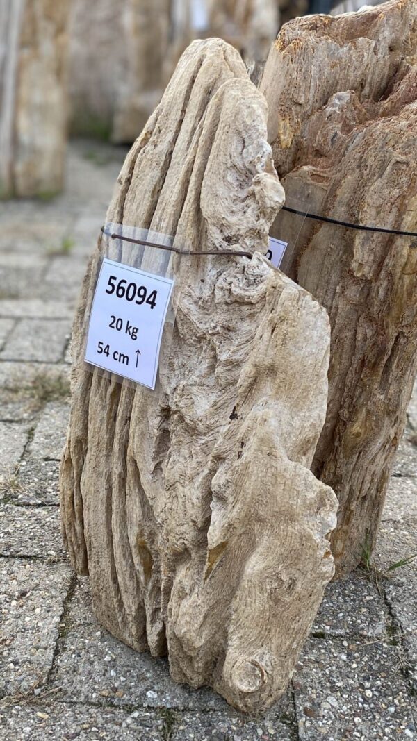 Memorial stone petrified wood 56094