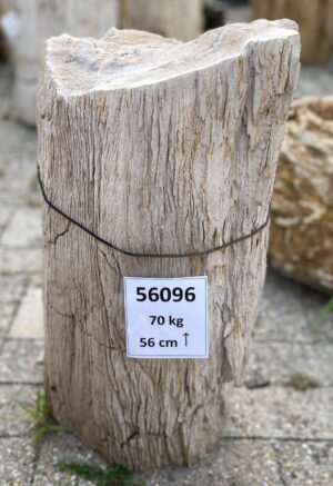 Memorial stone petrified wood 56096