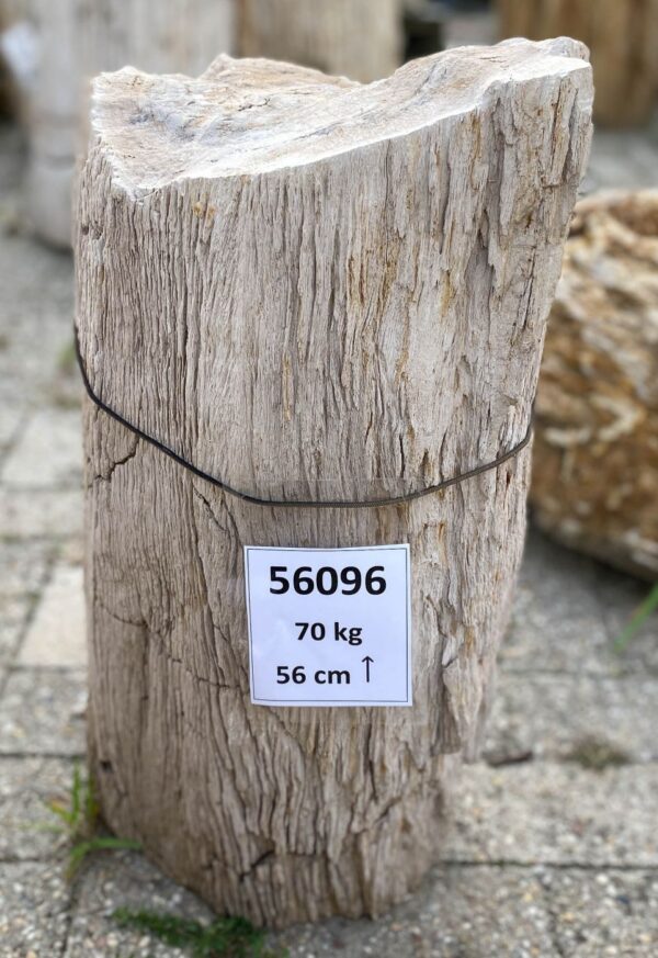 Memorial stone petrified wood 56096