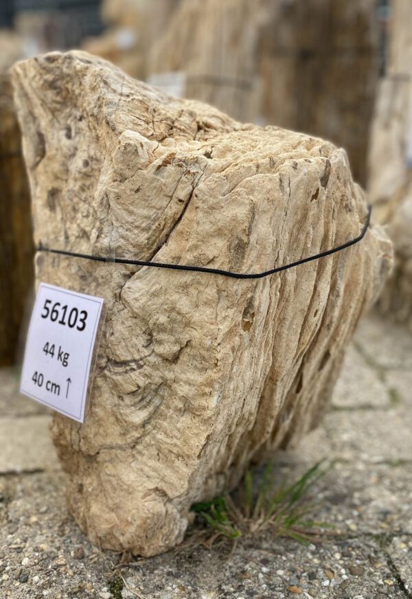 Memorial stone petrified wood 56103