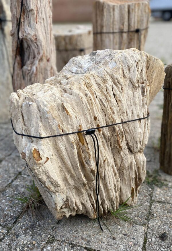 Memorial stone petrified wood 56103