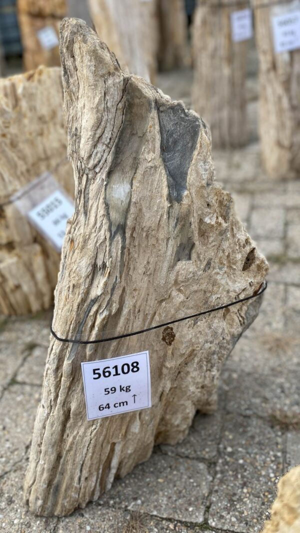 Memorial stone petrified wood 56108