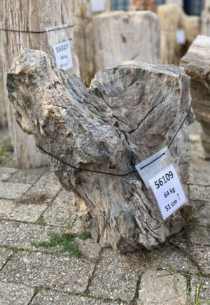 Memorial stone petrified wood 56109