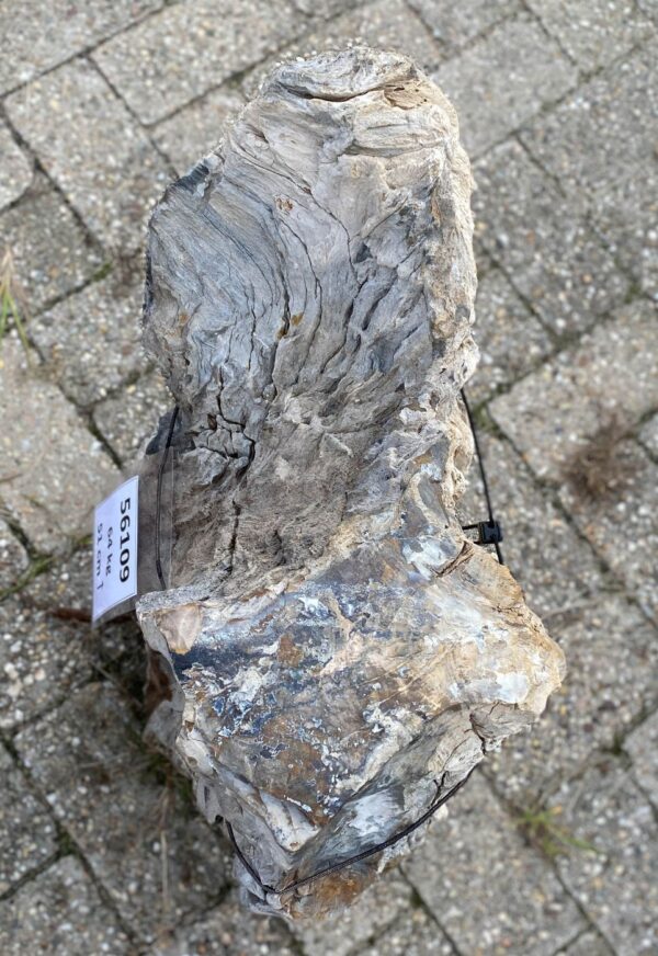 Memorial stone petrified wood 56109