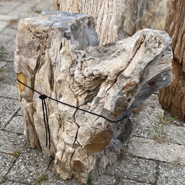 Memorial stone petrified wood 56109