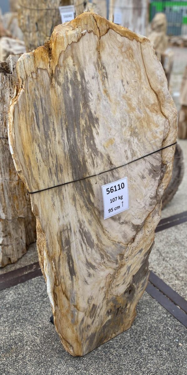 Memorial stone petrified wood 56110