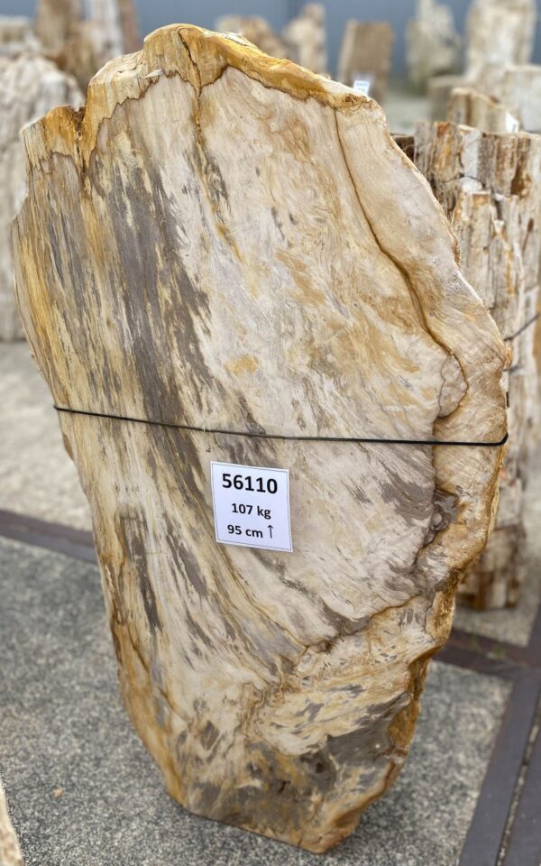 Memorial stone petrified wood 56110