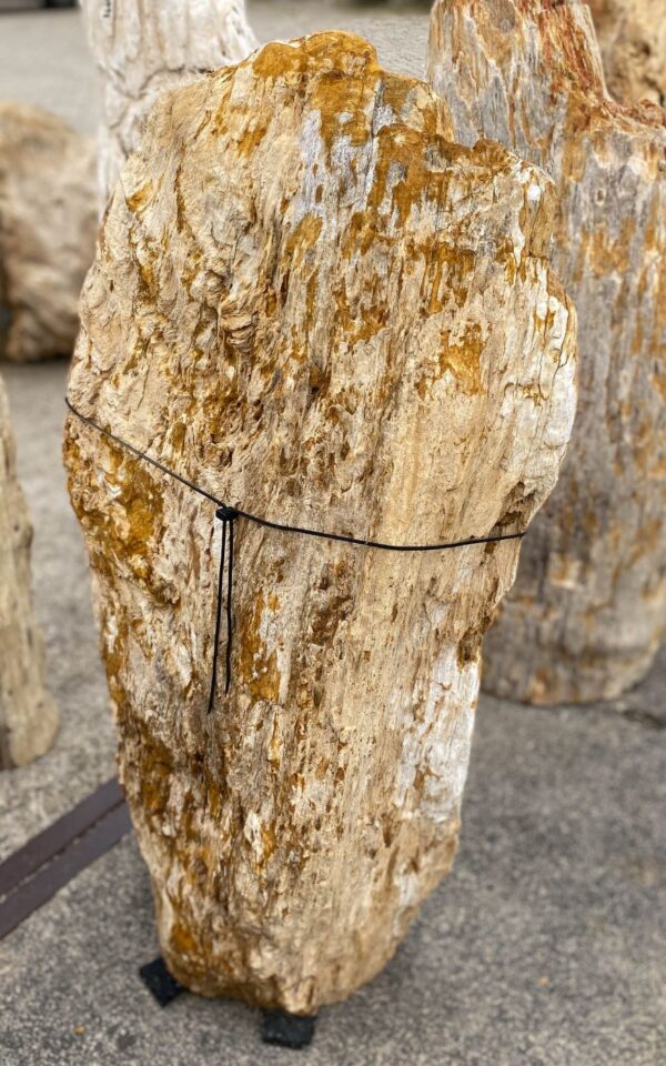 Memorial stone petrified wood 56110