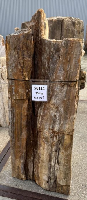 Memorial stone petrified wood 56111