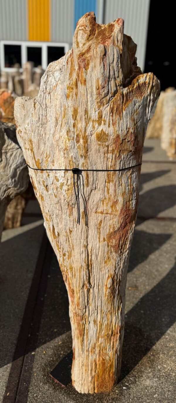 Memorial stone petrified wood 56112