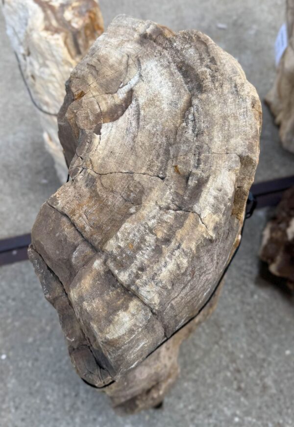 Memorial stone petrified wood 56115