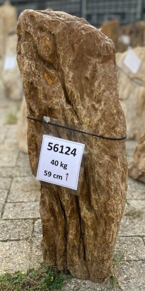 Memorial stone petrified wood 56124