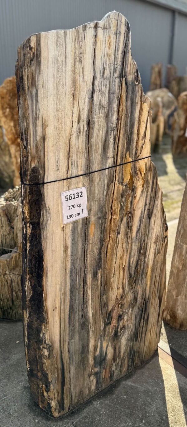 Memorial stone petrified wood 56132