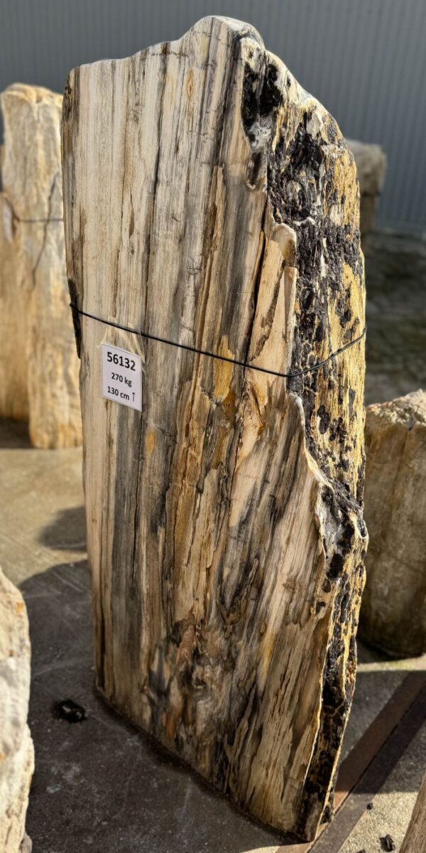 Memorial stone petrified wood 56132