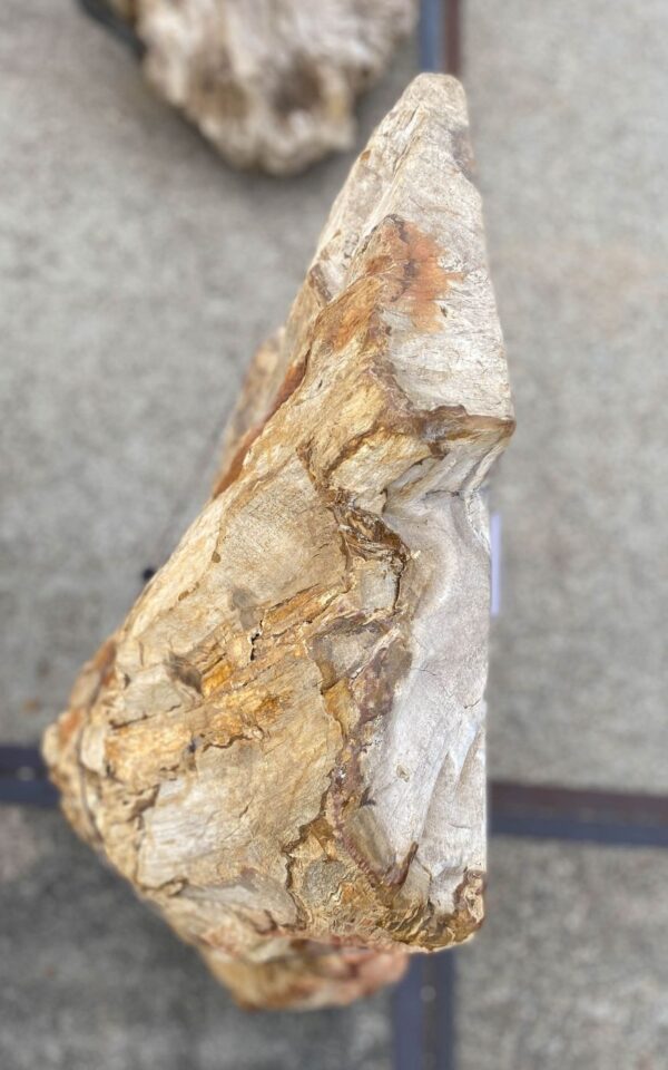 Memorial stone petrified wood 56133