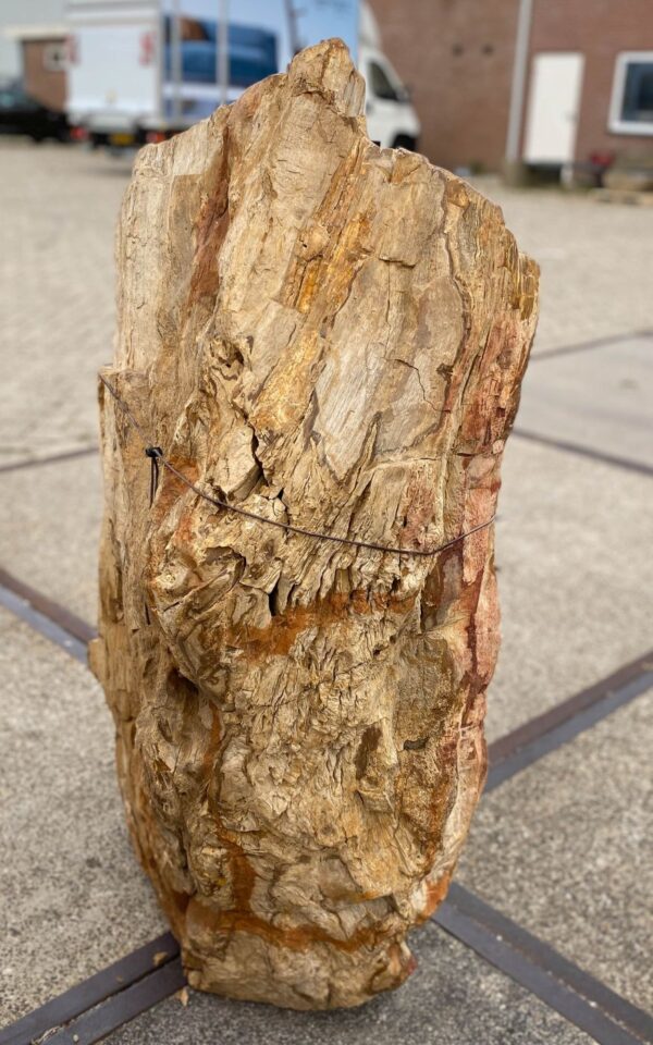 Memorial stone petrified wood 56133