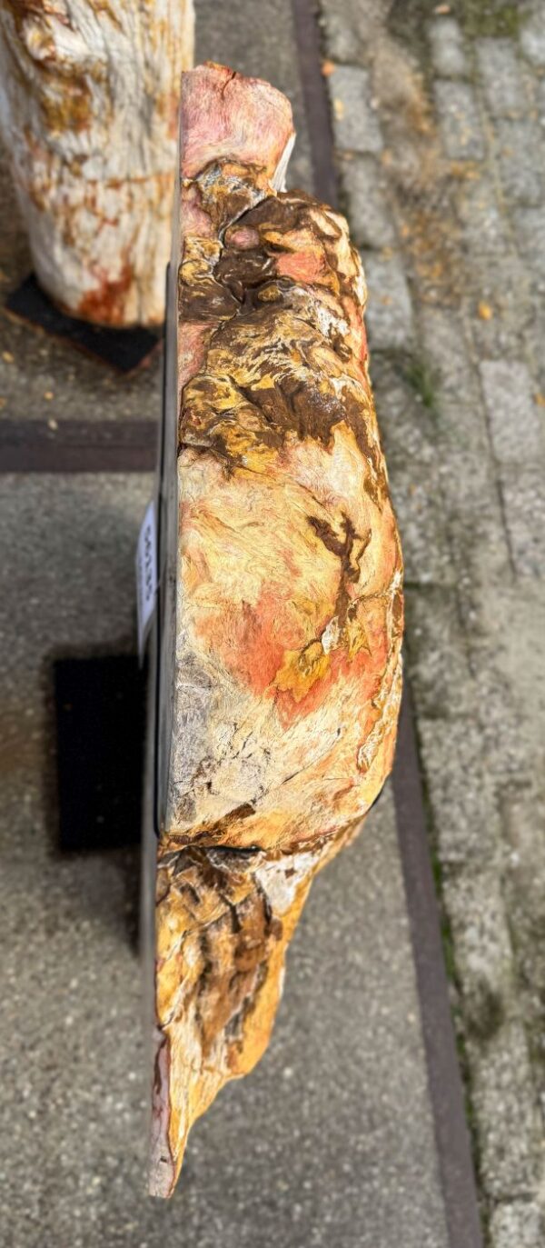 Memorial stone petrified wood 56135