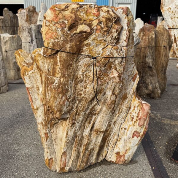 Memorial stone petrified wood 56135