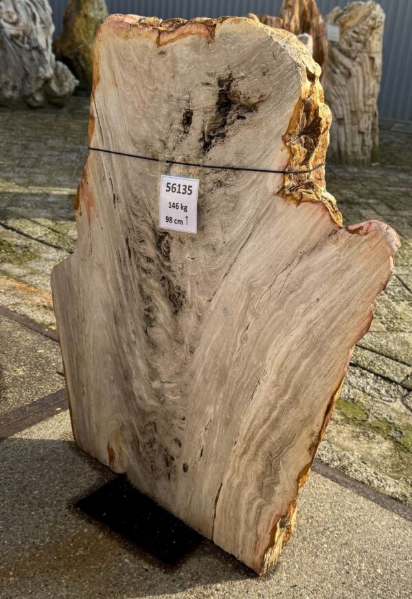 Memorial stone petrified wood 56135