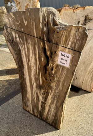 Memorial stone petrified wood 56136