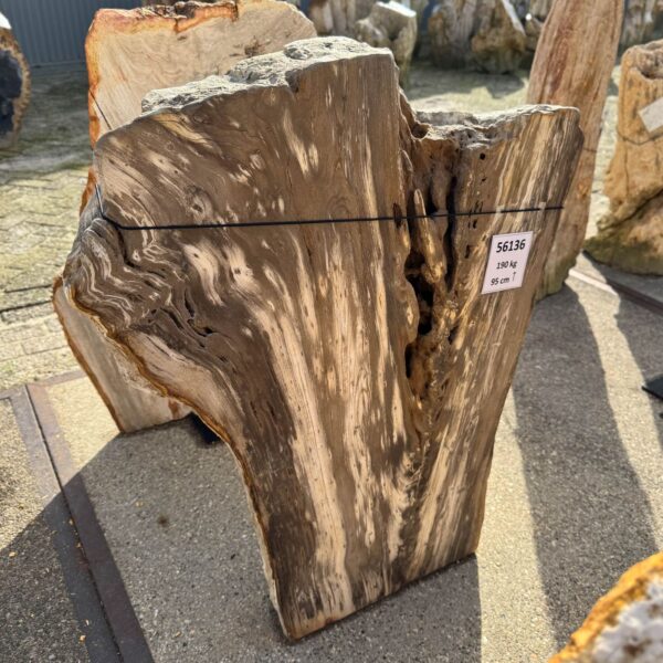 Memorial stone petrified wood 56136