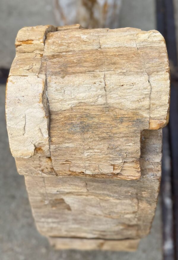 Memorial stone petrified wood 56137