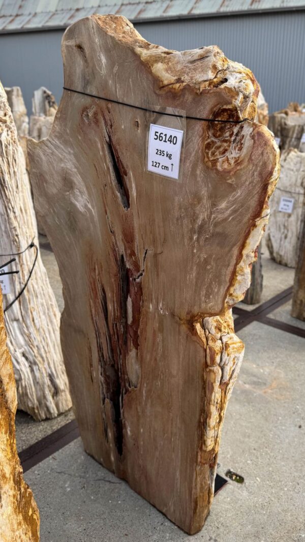 Memorial stone petrified wood 56140