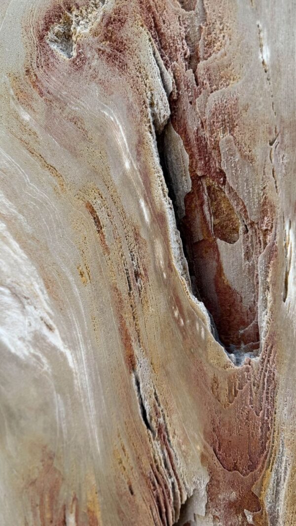 Memorial stone petrified wood 56140