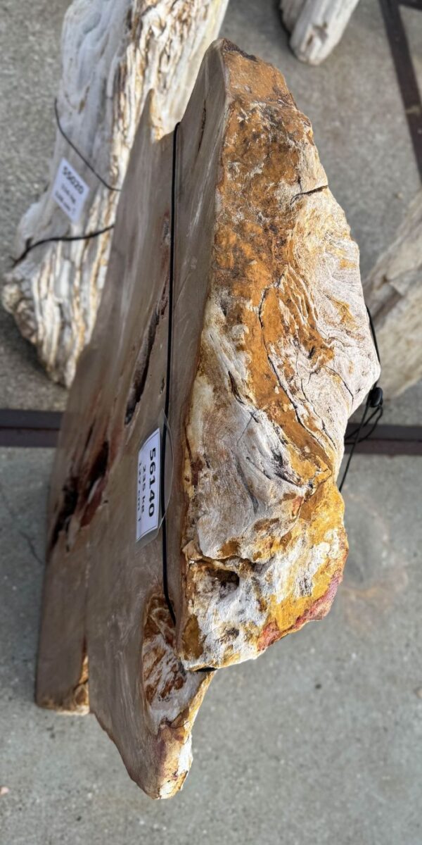 Memorial stone petrified wood 56140