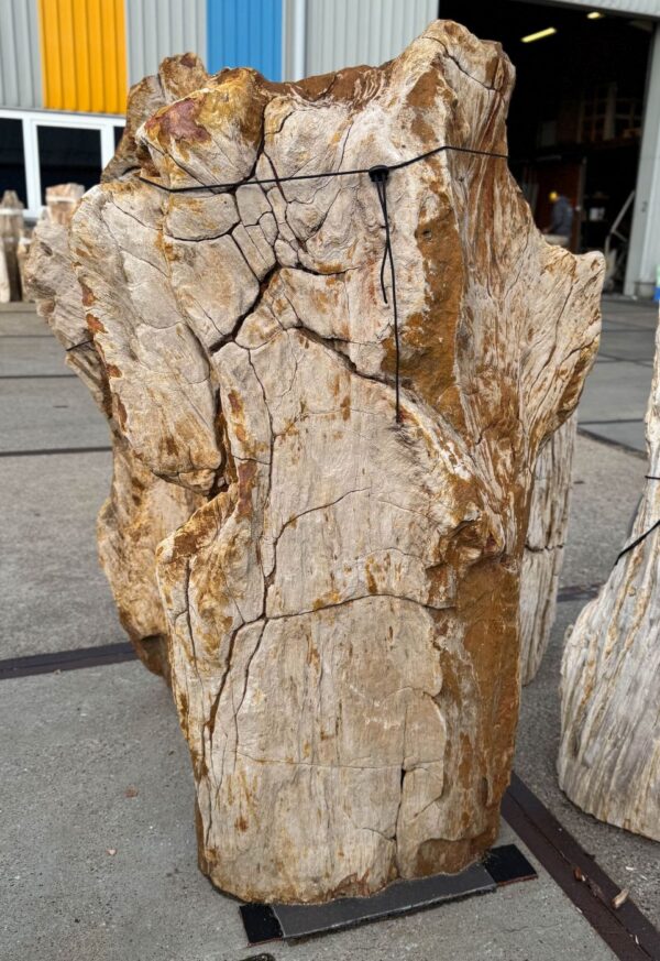 Memorial stone petrified wood 56140